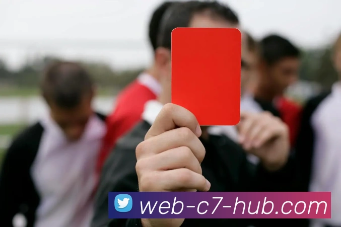 C7娱乐平台生态图